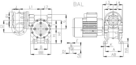 ���������� � ����������������� ������� BAL